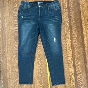 Democracy Blue Skinny Jeans with Stretch 16w